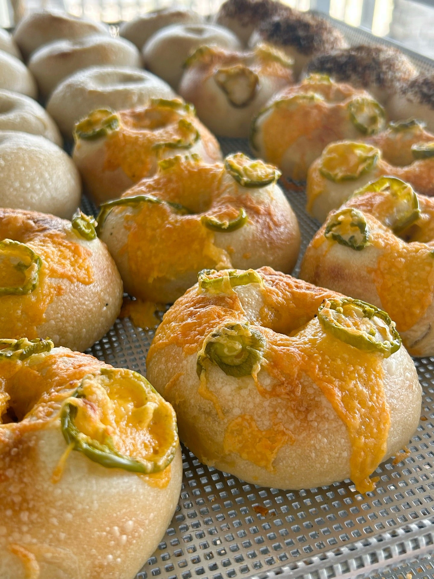Sourdough Bagels