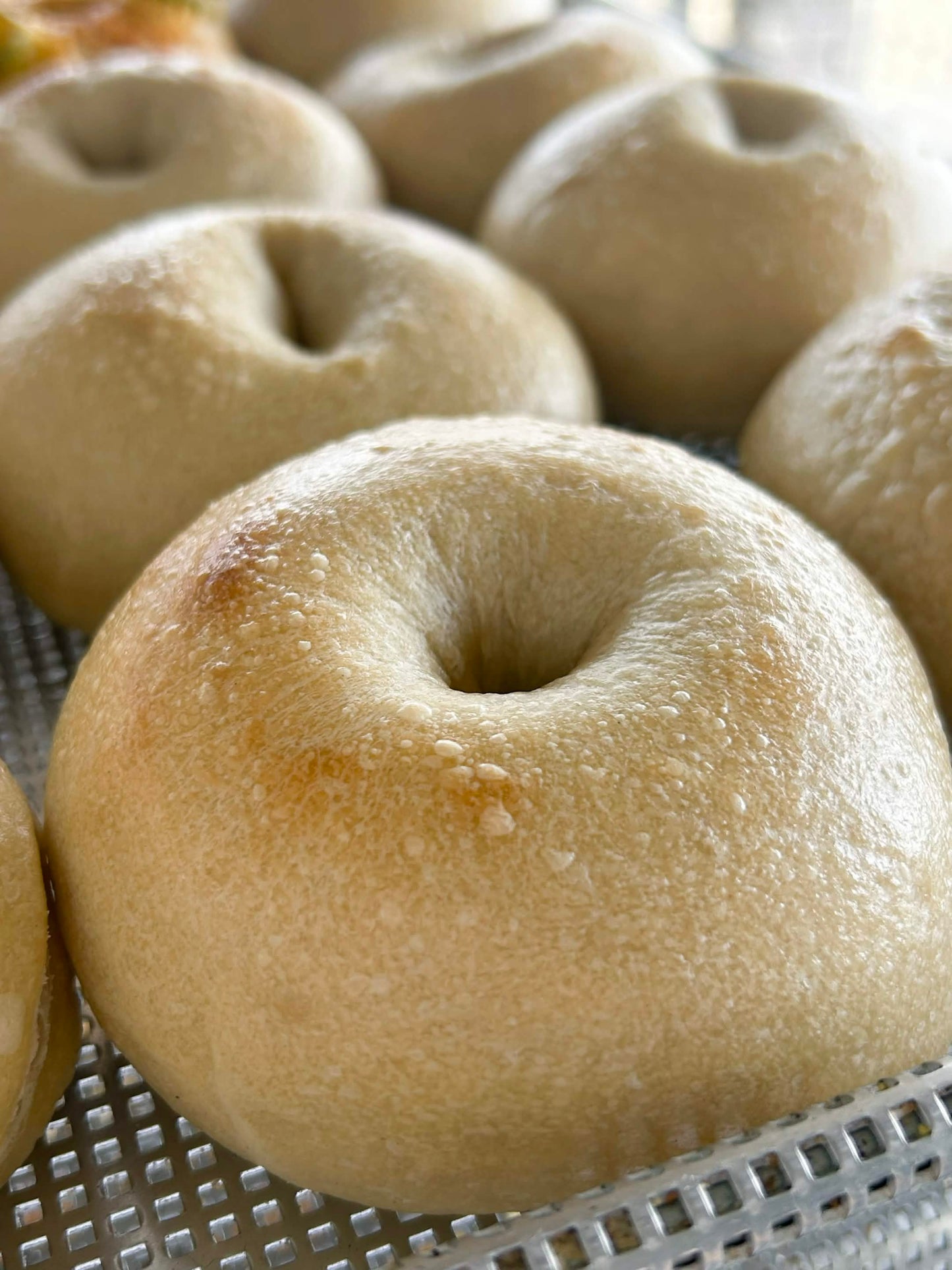 Sourdough Bagels